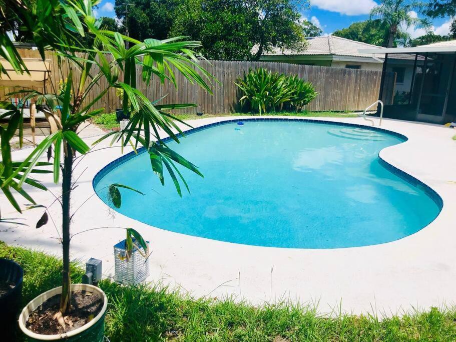 Paradise Hideaway Entire Guest Home Near Beach 克利尔沃特 外观 照片